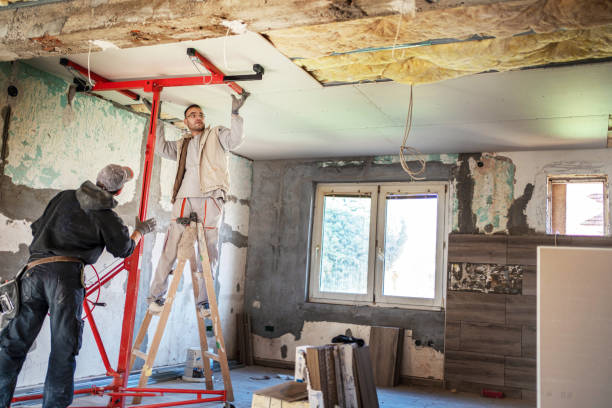 Best Commercial Insulation in Mitchell, IL