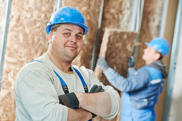 Best Insulation Maintenance and Repair in Mitchell, IL